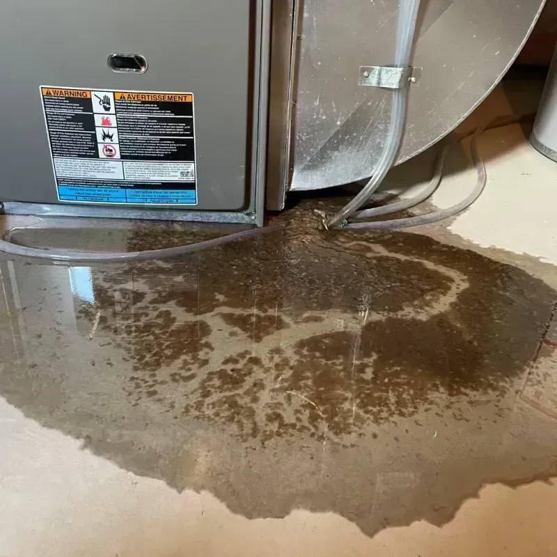 Appliance Leak Cleanup in Carlyle, IL